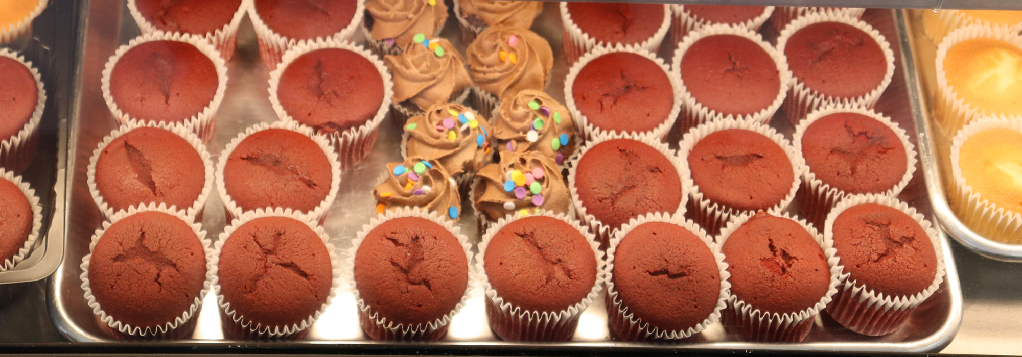 shopping for groceries | student friendly grocery |budget friendly grocery | budget friendly grocery for students | shopping groceries near me